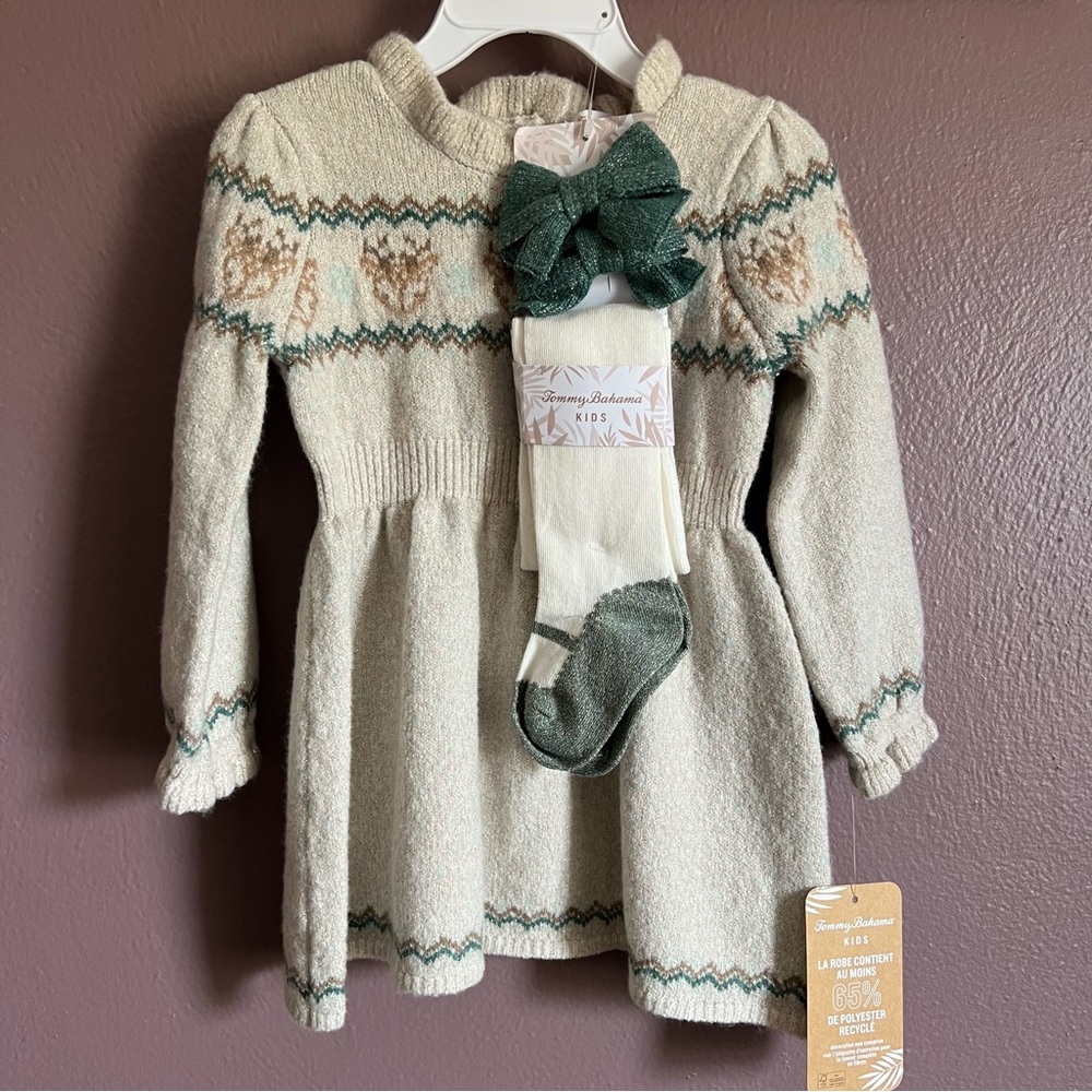 Cozy Cream and Green Knit Deer Dress Set for Girls